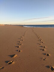 footprints on the beach