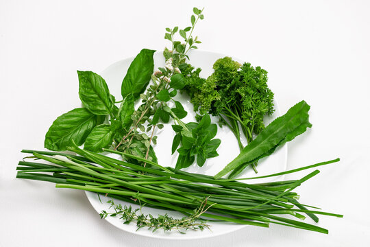 Caribbean herbs green seasoning Shadon benny local Trinidad and Tobago