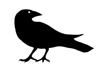 The Crow