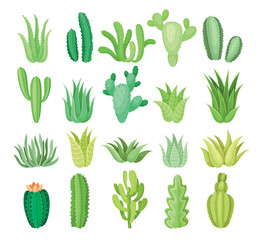 Set of different mexican plants. Green cacti and aloe bushes. Organic plants of Mexican desert with hot and dry climate. Gardening and Botany. Cartoon flat vector collection isolated on white