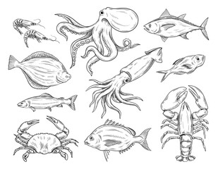 Obraz premium Seafood linear sketch set. Shrimps, octopus, crab, crayfish, shellfish, lobster, salmon. Design elements for cafe or restaurant menu. Cartoon simple vector collection isolated on white background