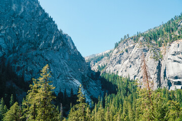 Yosemite National Park, Landscape, Nature, USA Attractions 