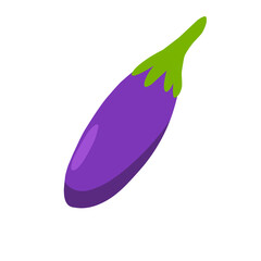 fresh purple eggplant