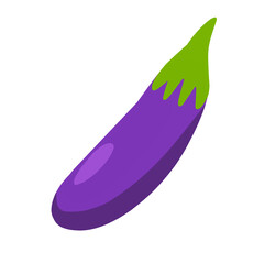 fresh purple eggplant