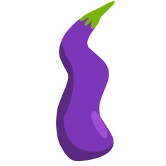 fresh purple eggplant