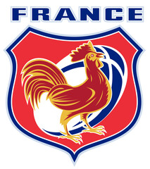 illustration of a french sport sporting mascot rooster cockerel cock set inside shield and rugby ball shape with words "france" © Redwater Vectors