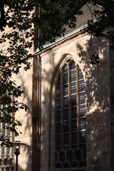 tree shadow on the church window