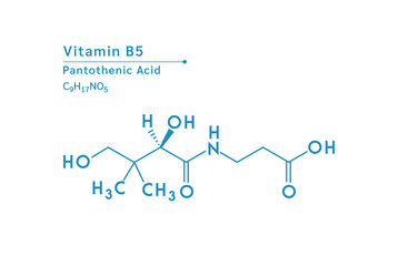 Vitamin B5 structural blue outline chemical formula. Medical and scientific concepts. Isolated on white background. Vector EPS10 illustration