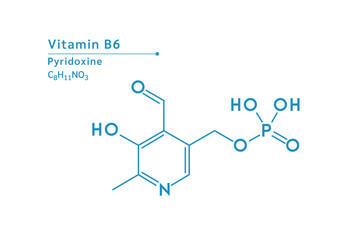Fototapeta premium Vitamin B6 structural blue outline chemical formula. Medical and scientific concepts. Isolated on white background. Vector EPS10 illustration