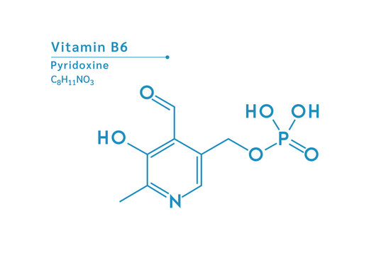 Vitamin B6 structural blue outline chemical formula. Medical and scientific concepts. Isolated on white background. Vector EPS10 illustration