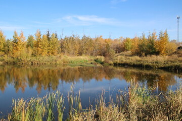 autumn trees reflected in water