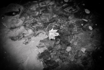 Travel and recreation. Holidays by the sea.