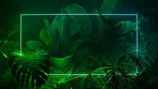 Tropical Plants Illuminated With Blue And Green Fluorescent Light. Jungle Environment With Rectangle Shaped Neon Frame.