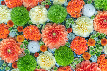 flower/花