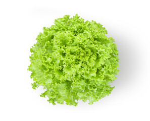 Obraz premium lettuce salad leaves isolated on transparent png
