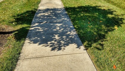 Tree Shadow on Sidewalk in October