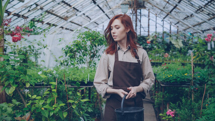 Young pretty woman florist in apron is walking through large greenhouse holding bucket and looking...
