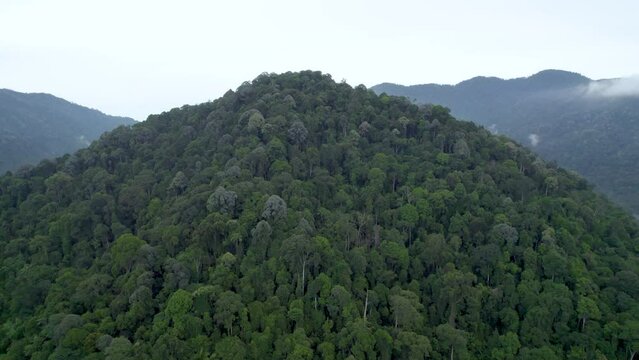 A zoom out shot of large number of mountains, vast landscapes touching the horizons, skies and dense lush forest