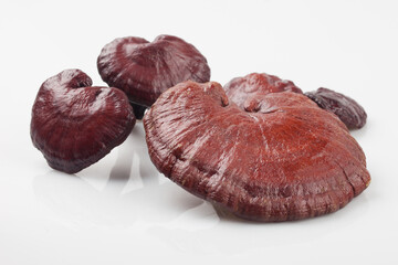 Youngji mushroom, Youngji mushroom, anticancer effect, Bulocho, medicine, bitter taste, detoxification,영지버섯, 영지, 버섯 ,항암효과 ,불로초, 약제 ,약용, 쓴맛 ,해독작용,