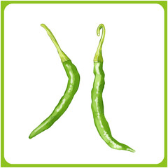 手描き水彩の青唐辛子イラスト