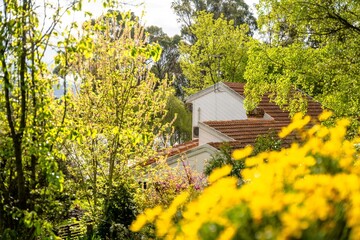 house in the garden