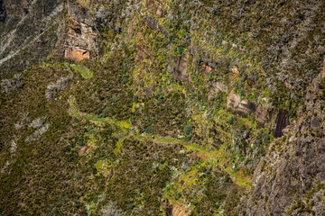 View from Pico Ruivo, Maderia