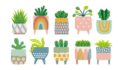 House plants set in colorful flowerpots. Trendy home decor with plants vector illustration. Flowers in pot