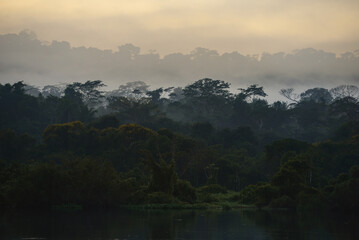Fototapeta premium A misty morning on the rainforest-lined banks of the Guaporé-Itenez river, near Ilha das Flores, Rolim de Moura do Guaporé, Rondonia, on the border with Beni Department, Bolivia