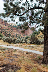 Beautiful landscape among the red mountains. Echo canyon in Utah, USA in autumn