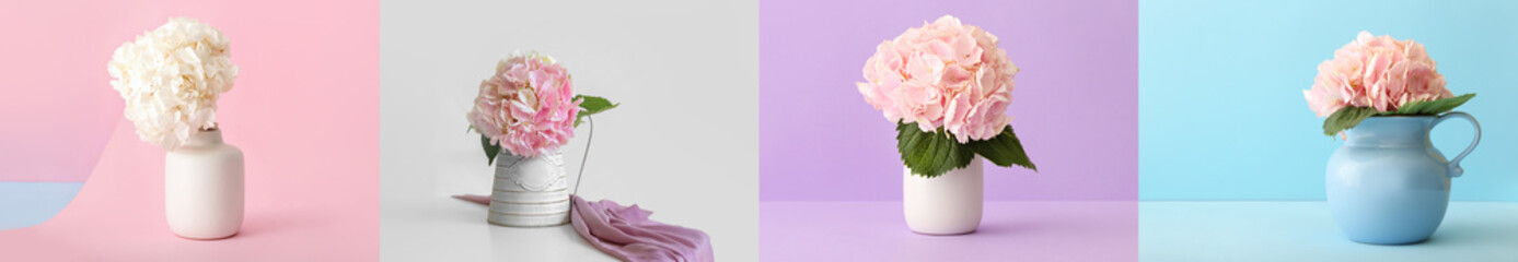 Collection of beautiful hydrangea flowers in vases on color background
