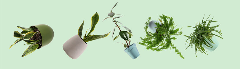 Many flying houseplants on green background
