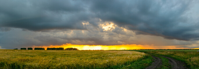 Summer rural landscape with dark dramatic clouds over the wheat field and farm road at sunset