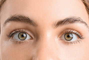Obraz premium Young woman with beautiful hazel eyes on white background, closeup