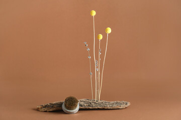 Tree bark with beautiful ikebana and kenzan on brown background