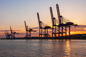 Harbor cranes in sunset light