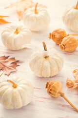 White pumpkins with autumn leaves on wooden background in vintage style