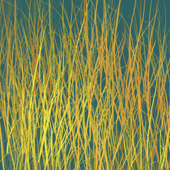 background with stripes pattern, seamless, texture, wallpaper, vector, design, decoration, illustration, ornament, art