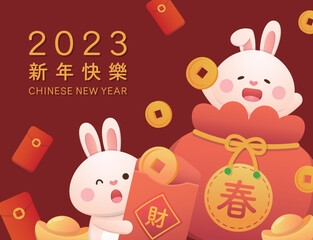 Horizontal Spring Couplets for Chinese Lunar New Year with cute rabbit character or mascot, various New Year elements, vector cartoon style, Chinese translation: Happy New Year