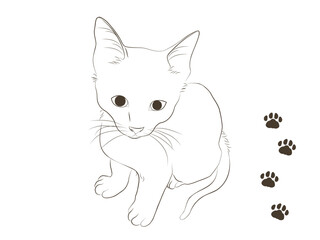 手描きの線画の子猫と肉球のイラスト
