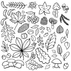 Fall Autumn Nature Doodle linear outline monochrome vector seasonal illustration set for web digital projects and bullet journal isolated on white background  - 537711653