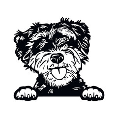 Giant Schnauzer - Funny Dog, Vector File, Cut Stencil for Tshirt