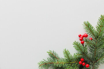 Fototapeta na wymiar Christmas branches with rowan on white background