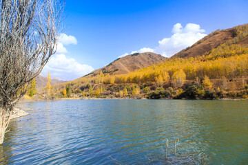 Mountain lake with yellow trees. Autumn landscape. Kyrgyzstan, Ak-Tuz gorge. Natural background.