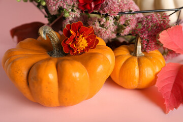 Halloween pumpkins and flowers on pink background, closeup