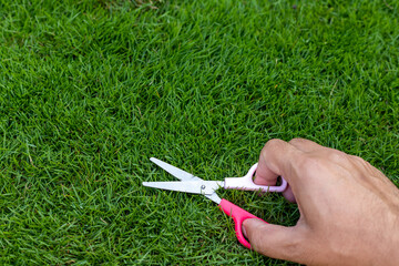 Man cutting grass with a small paper scissors - obrazy, fototapety, plakaty