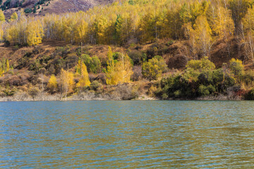 Mountain lake with yellow trees. Autumn landscape. Kyrgyzstan, Ak-Tuz gorge. Natural background.