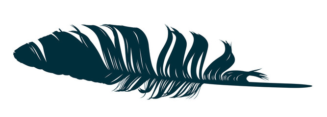 Obraz premium The Feather of bird silhouette. 