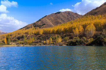 Mountain lake with yellow trees. Autumn landscape. Kyrgyzstan, Ak-Tuz gorge. Natural background.