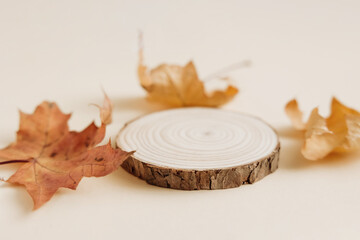 Wooden podium with autumn maple tree leaves and shadows on pastel background. Natural round stand for presentation and exhibitions for organic cosmetic product.