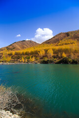 Mountain lake with yellow trees. Autumn landscape. Kyrgyzstan, Ak-Tuz gorge. Natural background.